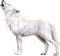 Wolf.White - PNG gratuit GIF animé
