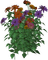Blumen - nemokama png animuotas GIF