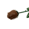 Chocolate / Marina Yasmine - ilmainen png animoitu GIF