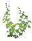 hojas  verdes gif dubravka4 - GIF animasi gratis GIF animasi