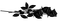 gothic - 免费PNG 动画 GIF