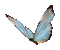 iridescent butterfly - GIF animé gratuit GIF animé