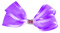 Bow-purple-deco-minou52