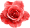 Glitter.Rose.Red - gratis png animerad GIF