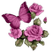 Rose N Butterfly - PNG gratuit GIF animé