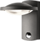 Lampe - bezmaksas png animēts GIF