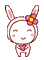 bunny - 無料のアニメーション GIF アニメーションGIF