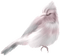 birds katrin - png gratis GIF animasi