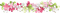 Kaz_Creations Flowers Flower Divider - Free PNG Animated GIF