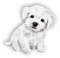 chien.Cheyenne63 - ücretsiz png animasyonlu GIF