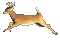 deer running animated - GIF animado grátis Gif Animado