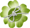 Bouton Fleur Vert St-Patrick:) - PNG gratuit GIF animé