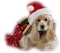 Kaz_Creations Animals Animal Dog Pup Christmas - 免费PNG 动画 GIF
