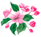 aquarelle,  fleur, Orabel - Free PNG Animated GIF