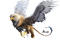 aigle ( - δωρεάν png κινούμενο GIF