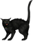 black cat - nemokama png animuotas GIF