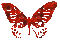 patymirabelle papillon - Darmowy animowany GIF animowany gif