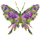 Butterflies - GIF animado gratis GIF animado