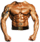 Musclé - 免费PNG 动画 GIF