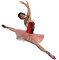 ballerine.Cheyenne63 - png gratuito GIF animata