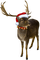 Reindeer.Brown.White.Red.Gold - zdarma png animovaný GIF