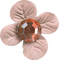 Kaz_Creations Deco Flower Colours - png gratis GIF animado