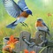 Bluebirds-RM - δωρεάν png κινούμενο GIF