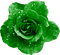 Glitter.Rose.Green - PNG gratuit GIF animé