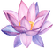 lotus flower Bb2 - png gratuito GIF animata