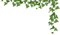 ivy corner - безплатен png анимиран GIF