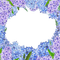hyacinth flowers frame - zdarma png animovaný GIF