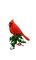noel  hiver oiseau rouge - gratis png animerad GIF