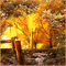 nature background - Bezmaksas animēts GIF animēts GIF