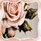 background hintergrund fondo flowers milla1959 - Free animated GIF Animated GIF