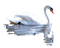 swan - darmowe png animowany gif