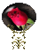 rose drop - Безплатен анимиран GIF анимиран GIF
