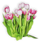 tulipe.Cheyenne63 - png gratis GIF animado