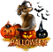 loly33 chat halloween - darmowe png animowany gif