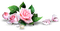 pink flowers, roses, sunshine3 - 無料png アニメーションGIF