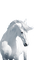 Pferd, Weiß - gratis png animeret GIF