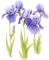 Blumen - ingyenes png animált GIF