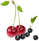 Kaz_Creations Fruits - gratis png geanimeerde GIF