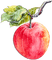 soave deco branch fruit apple red green - darmowe png animowany gif