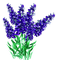 nbl-flower - zdarma png animovaný GIF