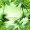 Ma / BG. animated.topical.palm.green..idca - GIF animado gratis