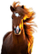 caballo - gratis png animerad GIF
