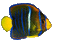 poisson - Nemokamas animacinis gif animuotas GIF