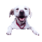 Nina dog - Gratis animeret GIF animeret GIF