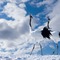 Cranes in the Snow - nemokama png animuotas GIF