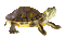 Turtle Very Best * - Bezmaksas animēts GIF animēts GIF
